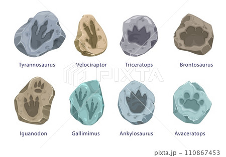 Ancient dinosaur footprints, fossil. Vector tyrannosaurus, velociraptor, triceratops and brontosaurus. Iguanodon, gallimimus, ankylosaurus or avaceratops reptile isolated paw prints in stone pieces Ancient dinosaur footprints, fossil. Vector tyrannosaurus, velociraptor, triceratops and brontosaurus. Iguanodon, gallimimus, ankylosaurus or avaceratops reptile isolated paw prints in stone pieces 110867453