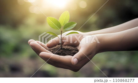 hands holding soil with green sprout, finance, new business start-up concept, neural network generated image hands holding soil with green sprout, finance, new business start-up concept, neural network generated image 110868277