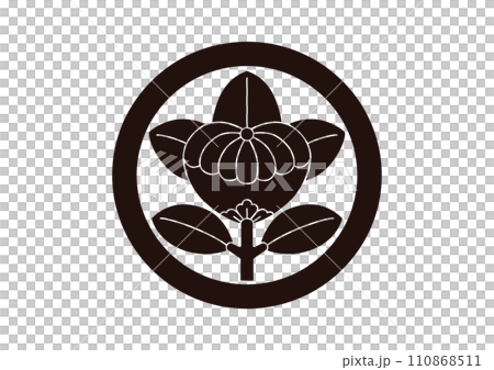 丸に菊座橘 110868511