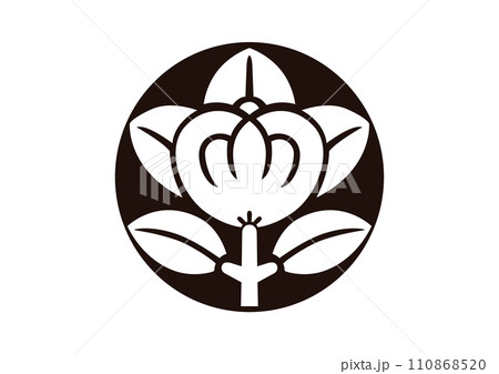 石持地貫橘 110868520