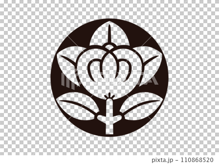 石持地貫橘 110868520