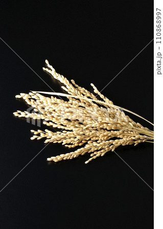 稲穂、米、新米 稲穂、米、新米 110868997