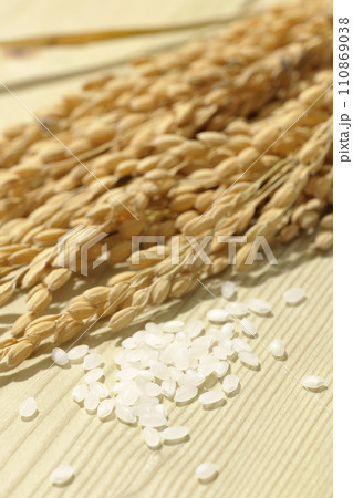 稲穂、米、新米 稲穂、米、新米 110869038