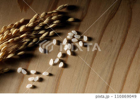 稲穂、米、新米 稲穂、米、新米 110869049