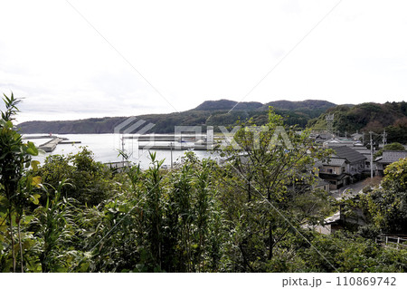 丘の上から見た漁港の突堤(桟橋)と家並み 丘の上から見た漁港の突堤(桟橋)と家並み 110869742