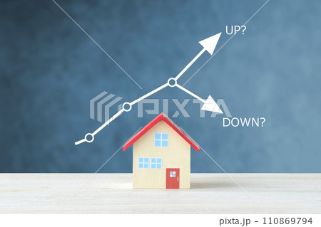 住宅のオブジェクトとアップダウンのグラフ―将来の不動産価格の推移イメージ 住宅のオブジェクトとアップダウンのグラフ―将来の不動産価格の推移イメージ 110869794