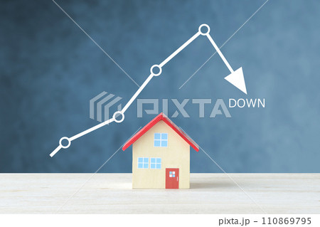 住宅のオブジェクトと下降トレンドのグラフ―不動産価格の下落イメージ 住宅のオブジェクトと下降トレンドのグラフ―不動産価格の下落イメージ 110869795