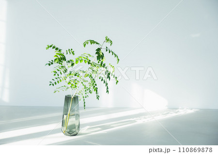 光の射し込む窓際に置かれた観葉植物  110869878