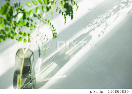 光の射し込む窓際に置かれた観葉植物  110869880