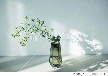 光の射し込む窓際に置かれた観葉植物 光の射し込む窓際に置かれた観葉植物 110869881