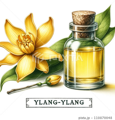 Ylang-Ylang Essential Oil with Flower Illustration Ylang-Ylang Essential Oil with Flower Illustration 110870048