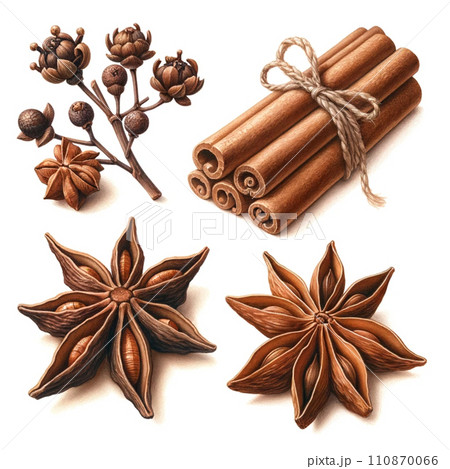 Assorted Spices Illustration with Cinnamon, cloves and Star Anise 110870066