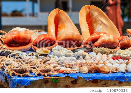 Different seashells for sale on a stall on Nungwi beach, Zanzibar, Tanzania 110870338
