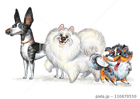 Cute character three funny cartoon different dogs isolated illustration 110870550
