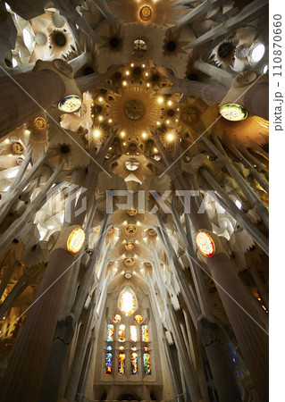 映える大聖堂 110870660