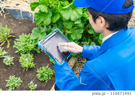 農作物をタブレットでデジタル管理する農業従事者 スマート農業 アグリテック 農作物をタブレットでデジタル管理する農業従事者 スマート農業 アグリテック 110871492