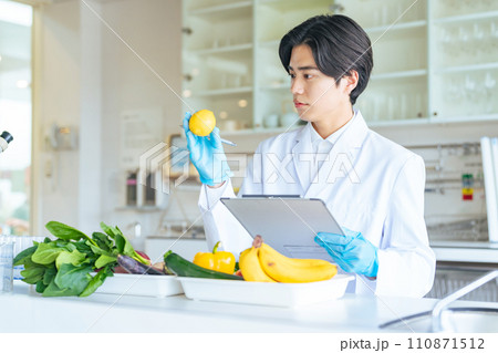 野菜や果物をチェックする研究者 110871512