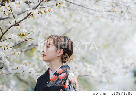 桜を見る着物の女性 桜を見る着物の女性 110871580