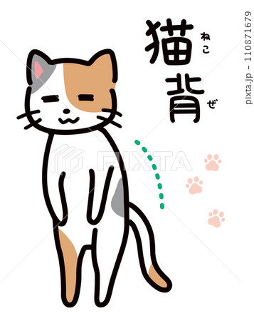 猫背のネコの手書きイラスト(全身) 猫背のネコの手書きイラスト(全身) 110871679