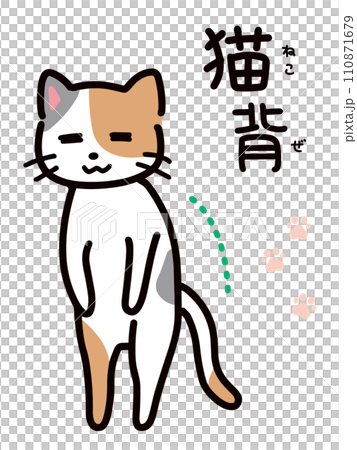 猫背のネコの手書きイラスト(全身) 猫背のネコの手書きイラスト(全身) 110871679