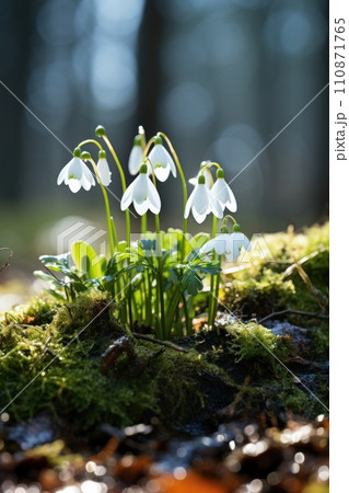 AI-generated content. a beautiful icy snowdrop in the middle of the forest 110871765