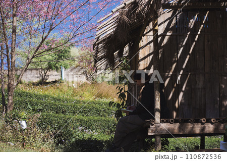 travel and work concept with solo freelancer man sit in cabin under cherry blossom tree and use tablet work with layer of mountain background travel and work concept with solo freelancer man sit in cabin under cherry blossom tree and use tablet work with layer of mountain background 110872536