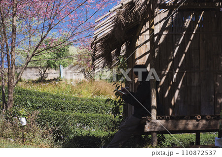 travel and work concept with solo freelancer man sit in cabin under cherry blossom tree and use tablet work with layer of mountain background travel and work concept with solo freelancer man sit in cabin under cherry blossom tree and use tablet work with layer of mountain background 110872537