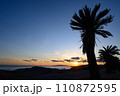 ヤシの木と夕焼けの海辺 110872595