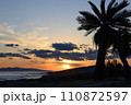 ヤシの木と夕焼けの海辺 110872597