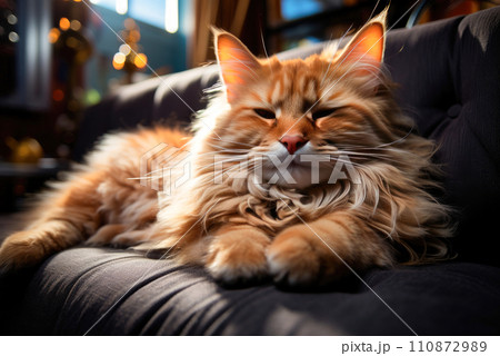 Fluffy ginger cat sleeps on a cozy sofa at home Fluffy ginger cat sleeps on a cozy sofa at home 110872989