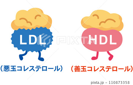 善玉コレステロールと悪玉コレステロール 110873358