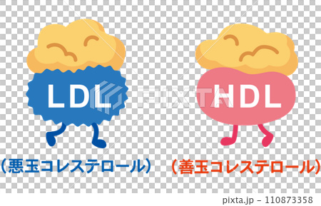 善玉コレステロールと悪玉コレステロール 110873358