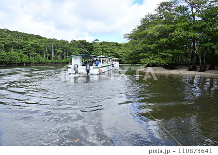 西表島 仲間川のマングローブクルーズ船 西表島 仲間川のマングローブクルーズ船 110873641