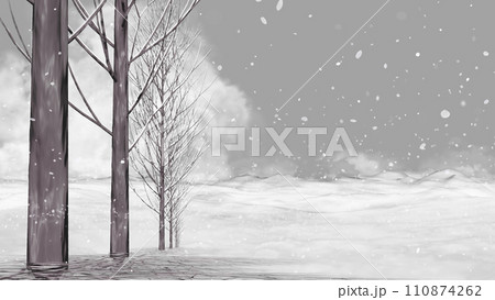 冬景色>寒々とした大地に小雪が降り注ぐ　文字入れ用の背景素材 110874262