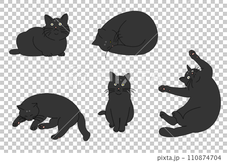 Cats in various poses (black cat) Cats in various poses (black cat) 110874704
