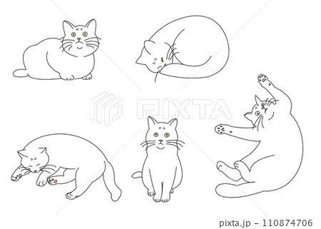 色々なポーズの猫たち(白猫) 色々なポーズの猫たち(白猫) 110874706