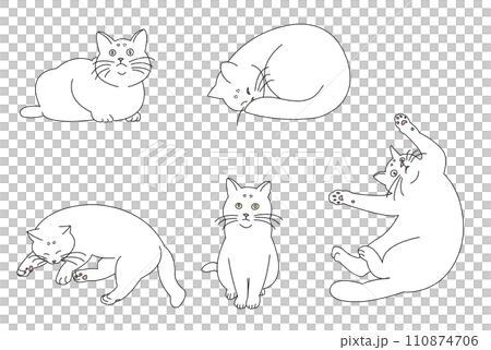 色々なポーズの猫たち(白猫) 色々なポーズの猫たち(白猫) 110874706