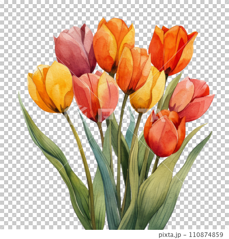 cute watercolor tulip bouquet isolated 110874859