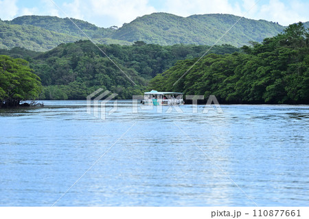 西表島 仲間川のマングローブクルーズ船 110877661