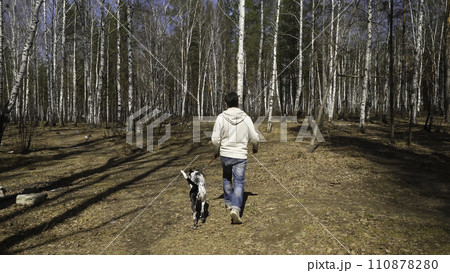 Man walks with dog in autumn park at sunny day. Man walking with a Dalmatian dog, view from the back 110878280
