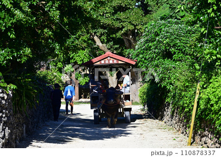 竹富島の村内を行く水牛車 竹富島の村内を行く水牛車 110878337