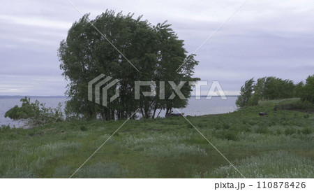 Tree near lake during sunset. Beautiful natural landscape. tree nature landscape and lake background Tree near lake during sunset. Beautiful natural landscape. tree nature landscape and lake background 110878426