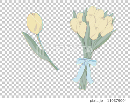 手繪線描鬱金香、單花及花束套裝（黃色） 110879004