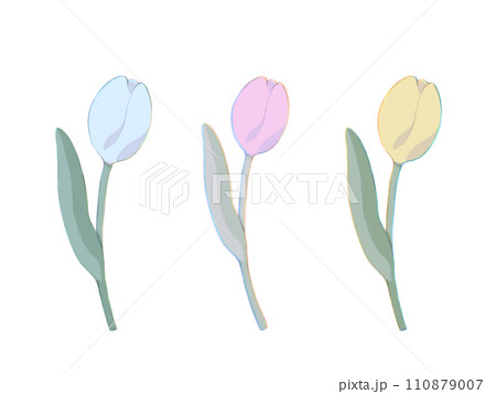 手描き線画のチューリップ、3色一輪のセット 110879007