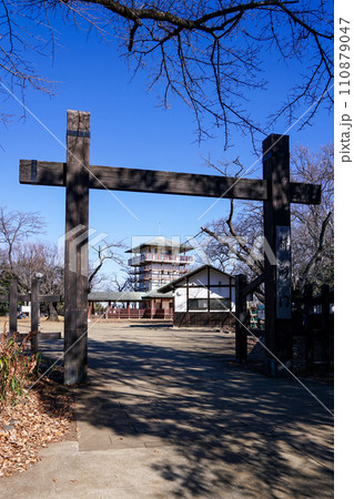 青空広がる枡形山展望台 生田緑地（神奈川県川崎市） 110879047
