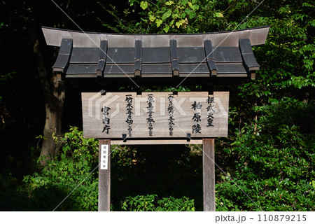 京都市伏見区桃山町の天皇陵　桓武天皇柏原陵 110879215