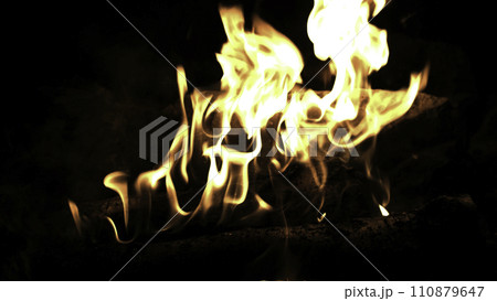 Burning wood in the fire. Camp fire in the night. Fire flames. Forest fire close up 110879647