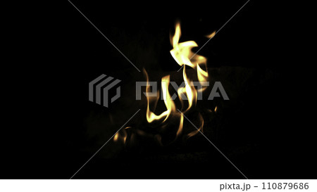 Burning wood in the fire. Camp fire in the night. Fire flames. Forest fire close up Burning wood in the fire. Camp fire in the night. Fire flames. Forest fire close up 110879686