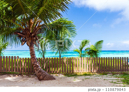 Anse Royale, summer landscape with coconut palm trees Anse Royale, summer landscape with coconut palm trees 110879843