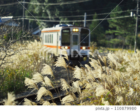 伊勢奥津駅付近のススキの中を走る気動車キハ11型 110879980